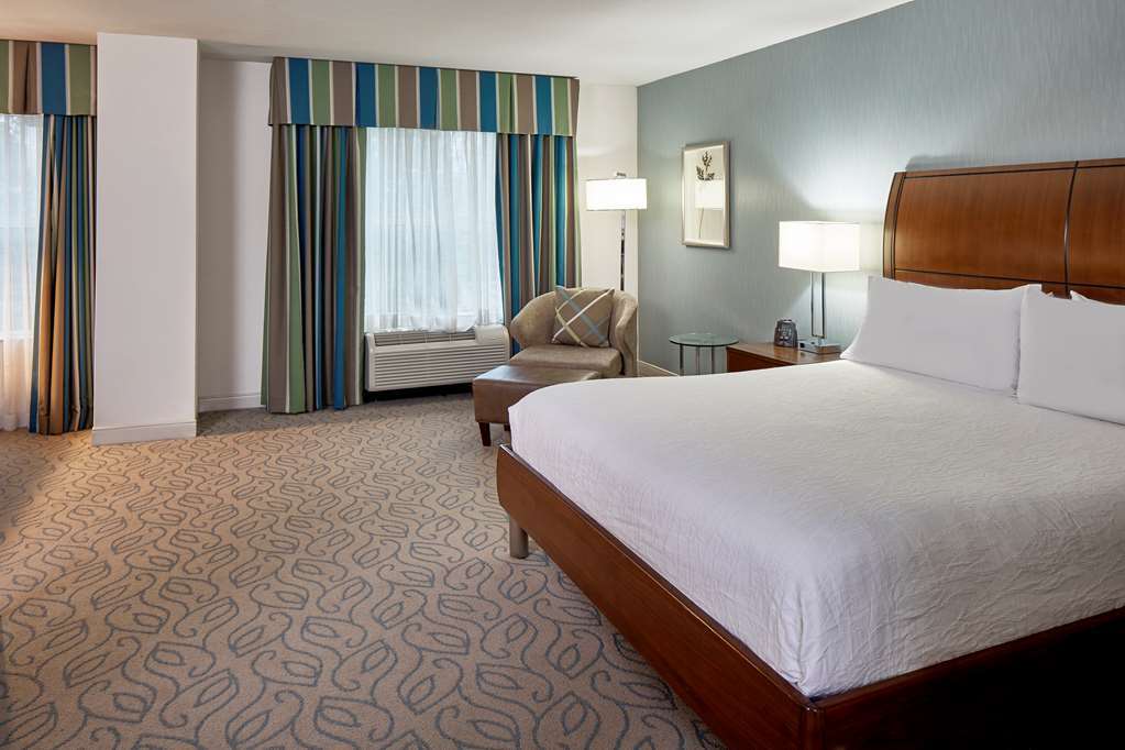 Hilton Garden Inn Atlanta Midtown Szoba fotó