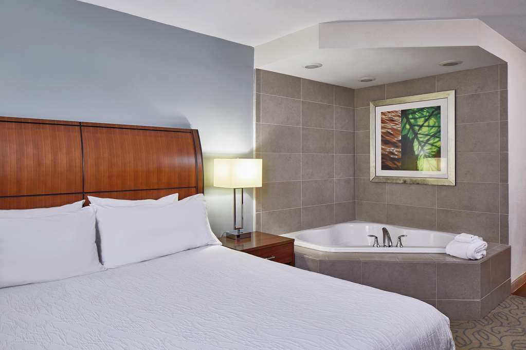 Hilton Garden Inn Atlanta Midtown Szoba fotó